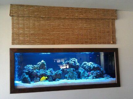 140 gallons reef tank (mostly live coral and fish) - 125 Gallon Saltwater Tank by Sunset Aquatics 140 gallons reef tank (mostly live coral and fish) - 125 Gallon Saltwater Tank by Sunset Aquatics