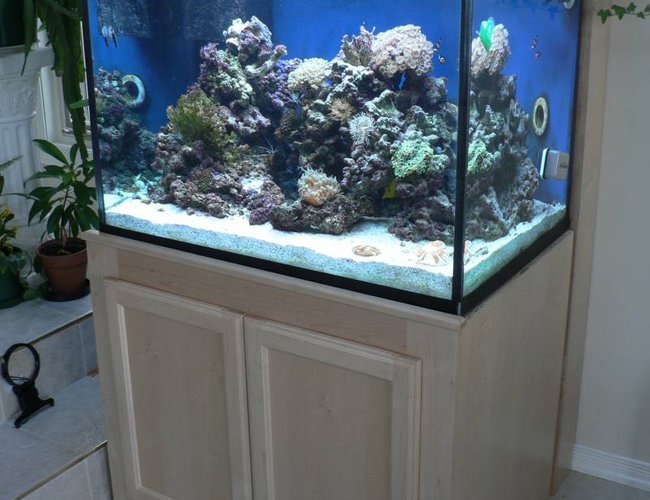 83 gallons reef tank (mostly live coral and fish) - Full stand and tank shot. 83 gallons reef tank (mostly live coral and fish) - Full stand and tank shot.