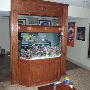 Rated #87: 275 Gallons Reef Tank - 275 Gallon Flat Back Hex ROOM DIVIDER Rated #87: 275 Gallons Reef Tank - 275 Gallon Flat Back Hex ROOM DIVIDER