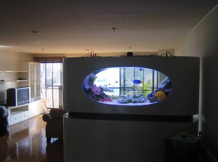 Rated #1: 200 Gallons Saltwater Fish Tank - a view from the back Rated #1: 200 Gallons Saltwater Fish Tank - a view from the back