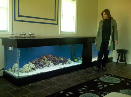 Rated #3: 180 Gallons Saltwater Fish Tank - Combo Tank, 180 and a 120. 2 Rated #3: 180 Gallons Saltwater Fish Tank - Combo Tank, 180 and a 120. 2'x12'. The 120 is used for the carnivore and problematic specimens. I also have a few nano tanks.