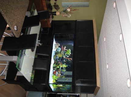 Rated #1: 350 Gallons Saltwater Fish Tank - 350 Gallon Tank, divides our Dining Room from Our Living Room.... I couldn Rated #1: 350 Gallons Saltwater Fish Tank - 350 Gallon Tank, divides our Dining Room from Our Living Room.... I couldn't live without it!!!!