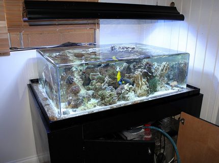 Rated #3: 150 Gallons Saltwater Fish Tank - my tank Rated #3: 150 Gallons Saltwater Fish Tank - my tank