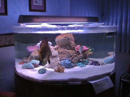 Rated #9: 375 Gallons Saltwater Fish Tank - 150 gal acrylic tank Rated #9: 375 Gallons Saltwater Fish Tank - 150 gal acrylic tank