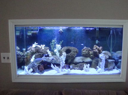 Rated #2: 90 Gallons Saltwater Fish Tank - 90 gallon Rated #2: 90 Gallons Saltwater Fish Tank - 90 gallon