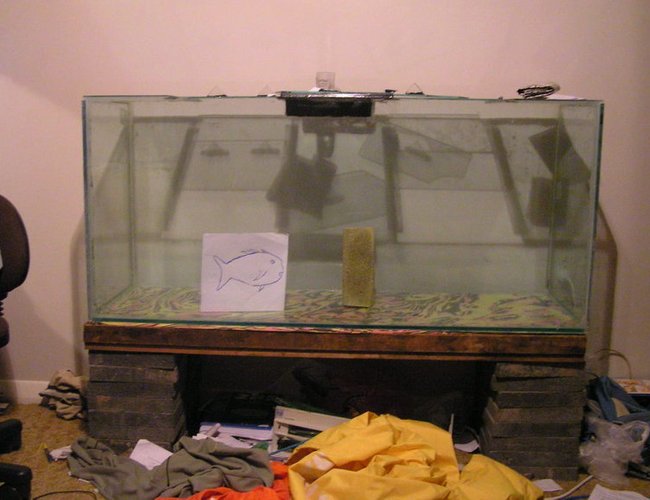 79 gallons saltwater fish tank (mostly fish, little/no live coral) - Not too heavily stocked at the moment, low bioload, extremely high oxygen content.
Very easy to maintain - the lazy reef keepers dream.
BB sand bed, and using the controversial no-skimmer technique. Seems to be working a treat.
- I'm a dork. Obviously. 79 gallons saltwater fish tank (mostly fish, little/no live coral) - Not too heavily stocked at the moment, low bioload, extremely high oxygen content.
Very easy to maintain - the lazy reef keepers dream.
BB sand bed, and using the controversial no-skimmer technique. Seems to be working a treat.
- I'm a dork. Obviously.