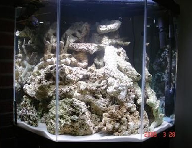 45 gallons saltwater fish tank (mostly fish, little/no live coral) - 70 lbs rock curing 45 gallons saltwater fish tank (mostly fish, little/no live coral) - 70 lbs rock curing