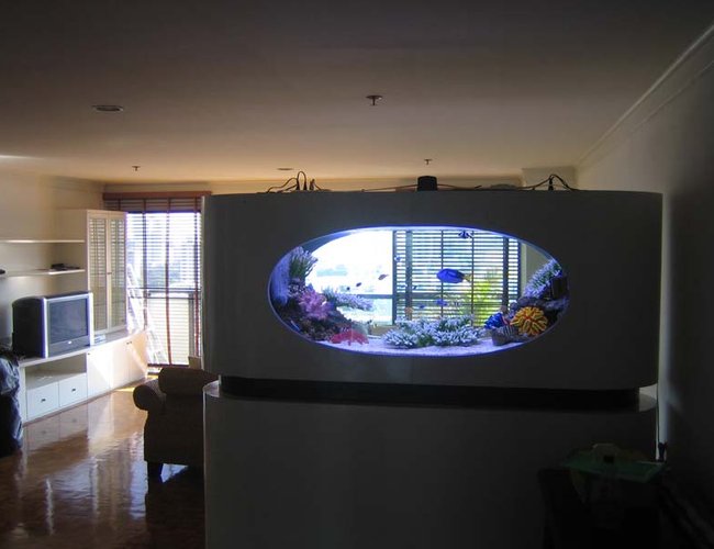 200 gallons saltwater fish tank (mostly fish, little/no live coral) - a view from the back 200 gallons saltwater fish tank (mostly fish, little/no live coral) - a view from the back