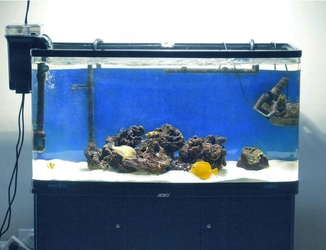 60 gallons saltwater fish tank (mostly fish, little/no live coral) - My tank 2 60 gallons saltwater fish tank (mostly fish, little/no live coral) - My tank 2