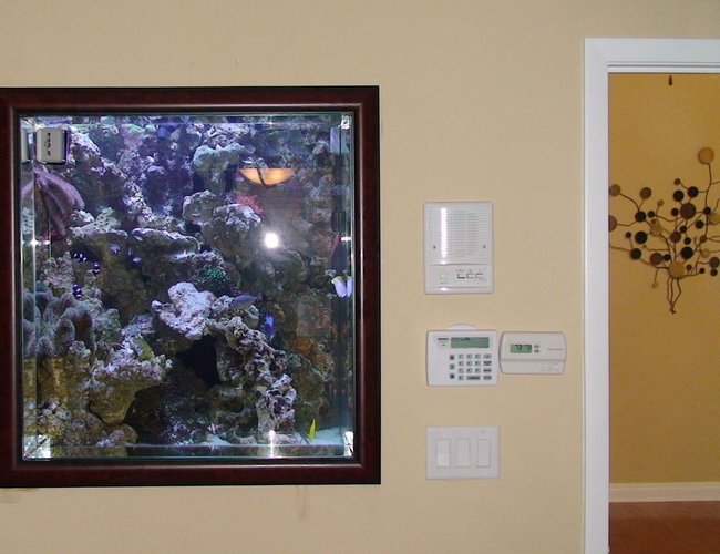 235 gallons saltwater fish tank (mostly fish, little/no live coral) - Inside bedroom with the tank view 235 gallons saltwater fish tank (mostly fish, little/no live coral) - Inside bedroom with the tank view
