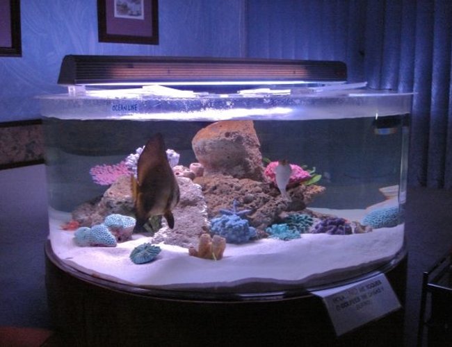 375 gallons saltwater fish tank (mostly fish, little/no live coral) - 150 gal acrylic tank 375 gallons saltwater fish tank (mostly fish, little/no live coral) - 150 gal acrylic tank