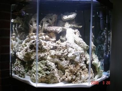 Rated #51: 45 Gallons Saltwater Fish Tank - 70 lbs rock curing Rated #51: 45 Gallons Saltwater Fish Tank - 70 lbs rock curing