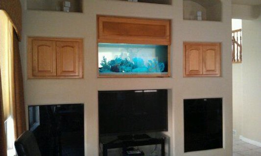Rated #6: 140 Gallons Saltwater Fish Tank - 150 Gallon Custom Aquarium by Sunset Aquatics Rated #6: 140 Gallons Saltwater Fish Tank - 150 Gallon Custom Aquarium by Sunset Aquatics