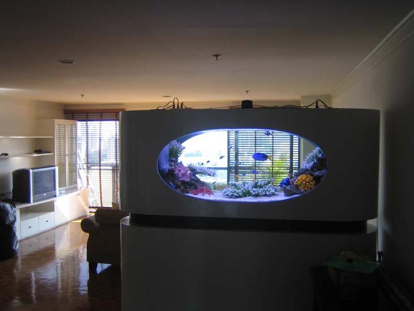 Rated #1: 200 Gallons Saltwater Fish Tank - a view from the back Rated #1: 200 Gallons Saltwater Fish Tank - a view from the back