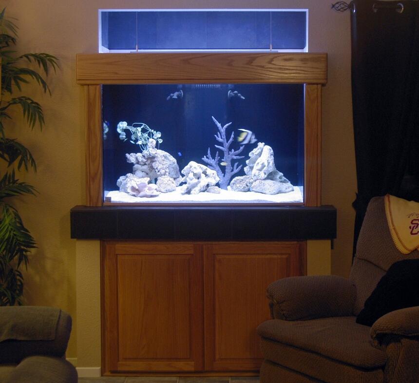 Rated #62: 150 Gallons Saltwater Fish Tank Rated #62: 150 Gallons Saltwater Fish Tank