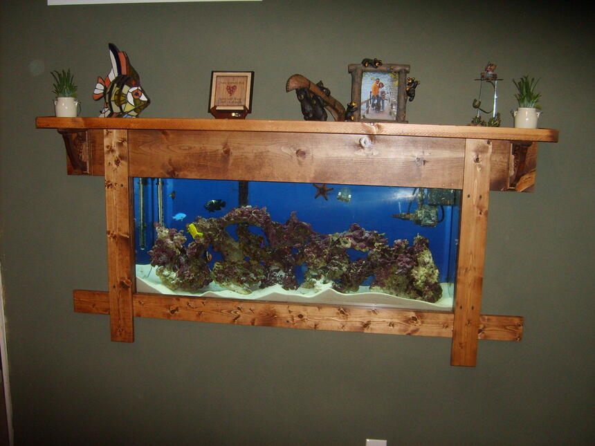 Rated #63: 55 Gallons Saltwater Fish Tank - 55 Gallon FOWLR...recently mounted in wall. Rated #63: 55 Gallons Saltwater Fish Tank - 55 Gallon FOWLR...recently mounted in wall.
