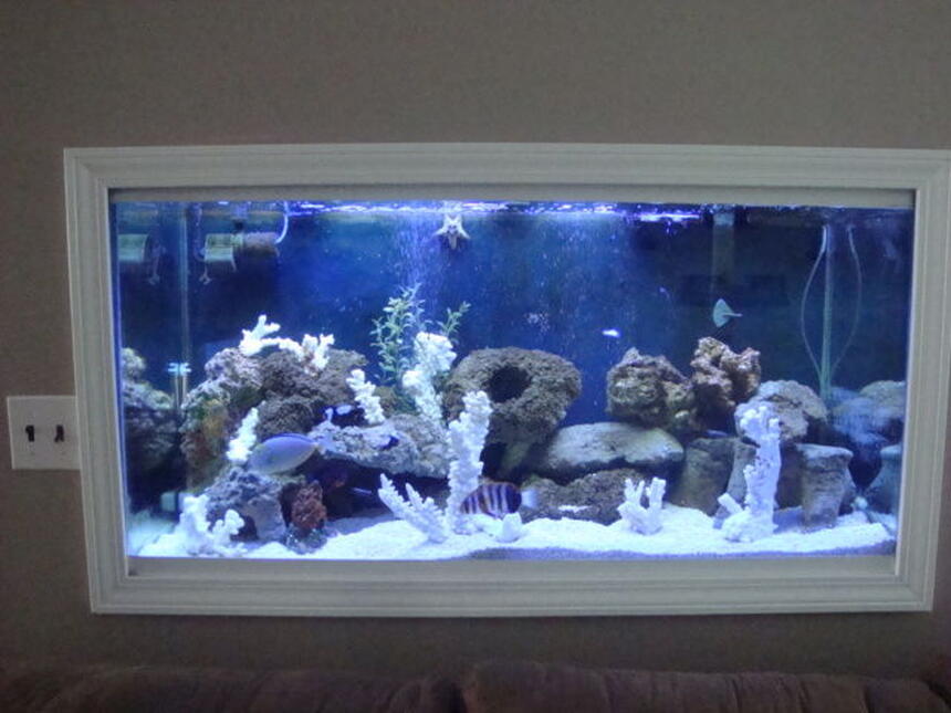 Rated #22: 90 Gallons Saltwater Fish Tank - 90 gallon Rated #22: 90 Gallons Saltwater Fish Tank - 90 gallon