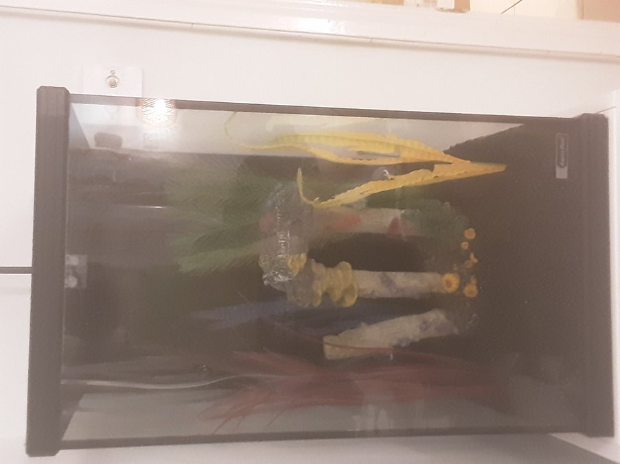 freshwater fish stocking in 12 gallons tank - Is this good for 2 corydoras and 8 neon tetras freshwater fish stocking in 12 gallons tank - Is this good for 2 corydoras and 8 neon tetras