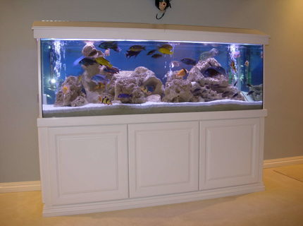 Rated #2: 172 Gallons Freshwater Fish Tank - Cichlids Cove Rated #2: 172 Gallons Freshwater Fish Tank - Cichlids Cove