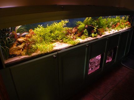 Rated #8: 90 Gallons Freshwater Fish Tank - A different angle shot of the main tank. Rated #8: 90 Gallons Freshwater Fish Tank - A different angle shot of the main tank.