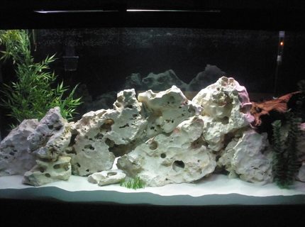 160 gallons freshwater fish tank (mostly fish and non-living decorations) - Our new 160 gallon African tank.... 160 gallons freshwater fish tank (mostly fish and non-living decorations) - Our new 160 gallon African tank....