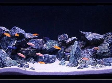 Rated #6: 120 Gallons Freshwater Fish Tank - Rocky Hills Rated #6: 120 Gallons Freshwater Fish Tank - Rocky Hills