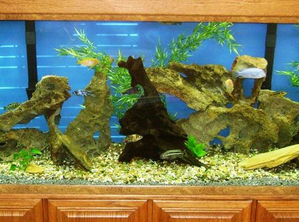 Rated #78: 150 Gallons Freshwater Fish Tank - 150 Gallon Rated #78: 150 Gallons Freshwater Fish Tank - 150 Gallon