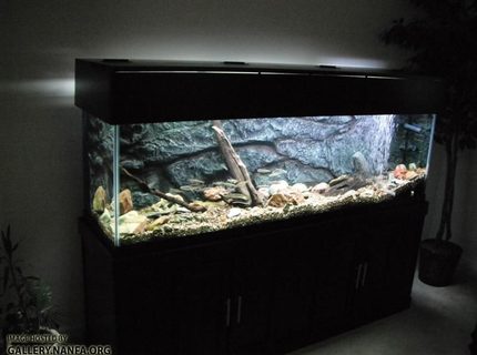 Rated #9: 125 Gallons Freshwater Fish Tank - Full Aquarium Setup Rated #9: 125 Gallons Freshwater Fish Tank - Full Aquarium Setup