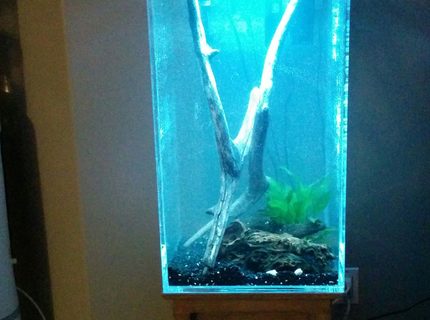 27 gallons freshwater fish tank (mostly fish and non-living decorations) - Acrylic open top aquarium, 27 gallons. 27 gallons freshwater fish tank (mostly fish and non-living decorations) - Acrylic open top aquarium, 27 gallons.