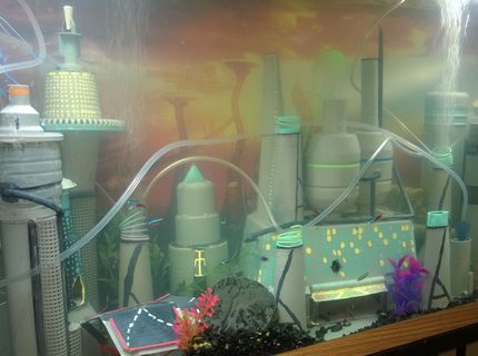 45 gallons freshwater fish tank (mostly fish and non-living decorations) - My space city 45 gallons freshwater fish tank (mostly fish and non-living decorations) - My space city