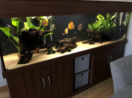 Rated #1: 210 Gallons Freshwater Fish Tank - New 7ft tank Rated #1: 210 Gallons Freshwater Fish Tank - New 7ft tank
