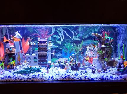 20 gallons freshwater fish tank (mostly fish and non-living decorations) - Lego tank 20 gallons freshwater fish tank (mostly fish and non-living decorations) - Lego tank