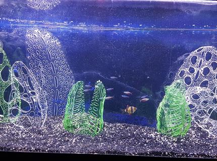20 gallons freshwater fish tank (mostly fish and non-living decorations) - I'll probably get slaughtered for this but my attempts at growing plants have failed miserably.
So, I decided to make my own ornaments from recycled drinks bottles (all certified food safe) shaped using a soldering iron. I'm really impressed with the results and the fish don't appear to mind. Would love feedback. 20 gallons freshwater fish tank (mostly fish and non-living decorations) - I'll probably get slaughtered for this but my attempts at growing plants have failed miserably.
So, I decided to make my own ornaments from recycled drinks bottles (all certified food safe) shaped using a soldering iron. I'm really impressed with the results and the fish don't appear to mind. Would love feedback.