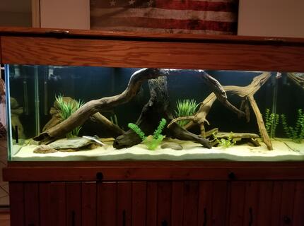 Rated #1: 250 Gallons Freshwater Fish Tank - River Monsters Rated #1: 250 Gallons Freshwater Fish Tank - River Monsters