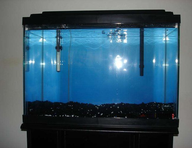 20 gallons freshwater fish tank (mostly fish and non-living decorations) - IDEAS PLEASE 20 gallons freshwater fish tank (mostly fish and non-living decorations) - IDEAS PLEASE