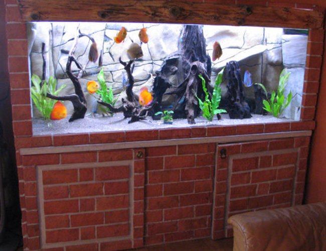 127 gallons freshwater fish tank (mostly fish and non-living decorations) - My 480 litres tank with 11 Discus fishes. 127 gallons freshwater fish tank (mostly fish and non-living decorations) - My 480 litres tank with 11 Discus fishes.