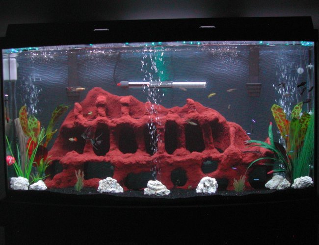 80 gallons freshwater fish tank (mostly fish and non-living decorations) - updated pic. moved some things around, more fish added, added some more plants (fake) 80 gallons freshwater fish tank (mostly fish and non-living decorations) - updated pic. moved some things around, more fish added, added some more plants (fake)
