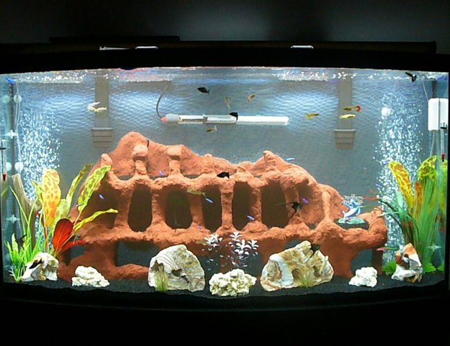 80 gallons freshwater fish tank (mostly fish and non-living decorations) - Latest and greatest picture. Moved and added some things to the tank. Took out some of the reef rock and added the rainbow rock. Also added a few more Neons and two Mollys.
And no tank is complete without a "no fishing shark" (accourding to my girlfriends 10 year old daughter who bought it for me... lol) 80 gallons freshwater fish tank (mostly fish and non-living decorations) - Latest and greatest picture. Moved and added some things to the tank. Took out some of the reef rock and added the rainbow rock. Also added a few more Neons and two Mollys.
And no tank is complete without a "no fishing shark" (accourding to my girlfriends 10 year old daughter who bought it for me... lol)