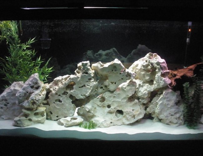 160 gallons freshwater fish tank (mostly fish and non-living decorations) - Our new 160 gallon African tank.... 160 gallons freshwater fish tank (mostly fish and non-living decorations) - Our new 160 gallon African tank....