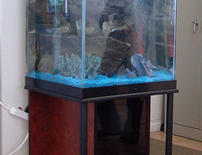 47 gallons freshwater fish tank (mostly fish and non-living decorations) - none 47 gallons freshwater fish tank (mostly fish and non-living decorations) - none