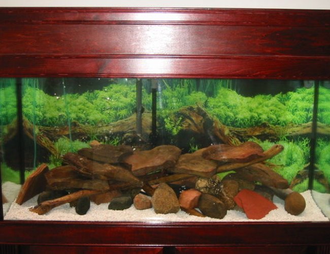 95 gallons freshwater fish tank (mostly fish and non-living decorations) - cichlid tank with field rocks, and drift wood 95 gallons freshwater fish tank (mostly fish and non-living decorations) - cichlid tank with field rocks, and drift wood