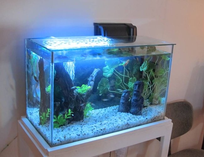18 gallons freshwater fish tank (mostly fish and non-living decorations) - my tank ^^ 18 gallons freshwater fish tank (mostly fish and non-living decorations) - my tank ^^