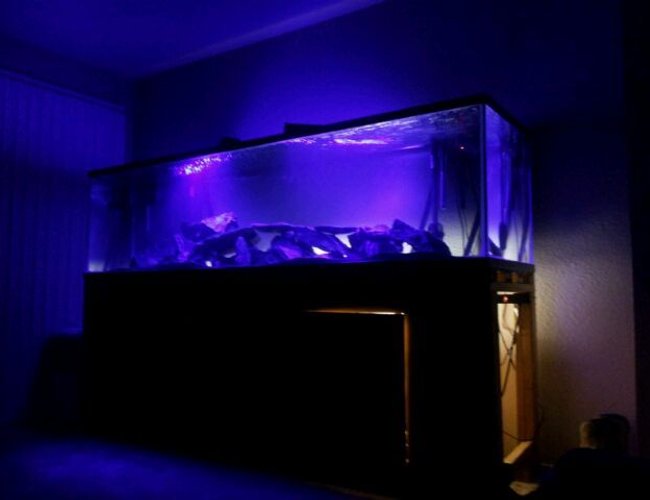 240 gallons freshwater fish tank (mostly fish and non-living decorations) - 240 Gallon Burundi Tank 240 gallons freshwater fish tank (mostly fish and non-living decorations) - 240 Gallon Burundi Tank