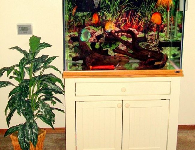 70 gallons freshwater fish tank (mostly fish and non-living decorations) - 70g 70 gallons freshwater fish tank (mostly fish and non-living decorations) - 70g