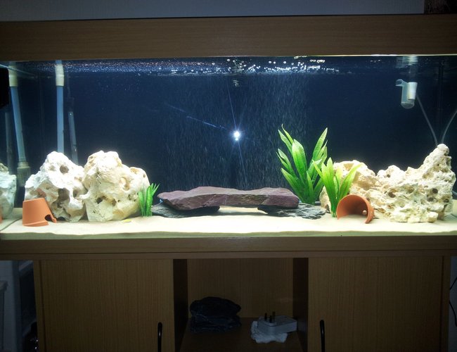 52 gallons freshwater fish tank (mostly fish and non-living decorations) - Lake Malawi Tank 52 gallons freshwater fish tank (mostly fish and non-living decorations) - Lake Malawi Tank
