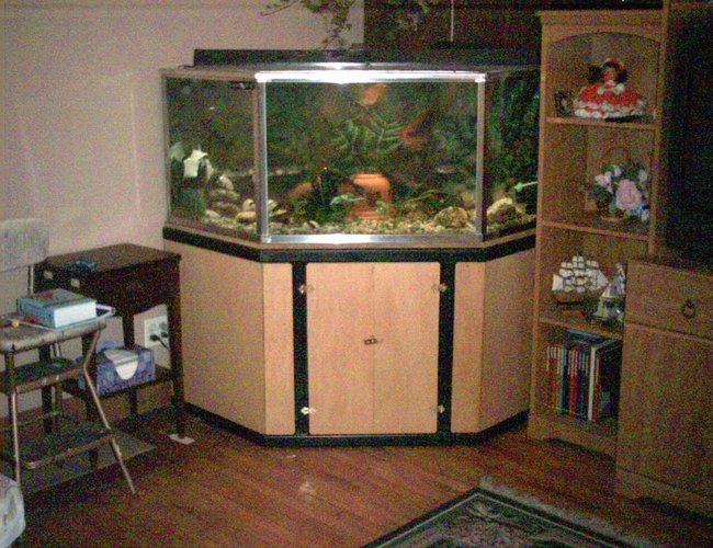125 gallons freshwater fish tank (mostly fish and non-living decorations) - custom built tank 125 gallons freshwater fish tank (mostly fish and non-living decorations) - custom built tank
