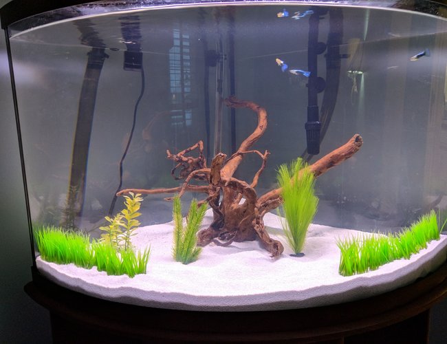 55 gallons freshwater fish tank (mostly fish and non-living decorations) - The beginning of our tank. 55 gallons freshwater fish tank (mostly fish and non-living decorations) - The beginning of our tank.