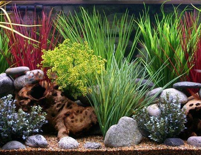 100 gallons freshwater fish tank (mostly fish and non-living decorations) - 100 Gallon custom tank.All plastic plants. 100 gallons freshwater fish tank (mostly fish and non-living decorations) - 100 Gallon custom tank.All plastic plants.