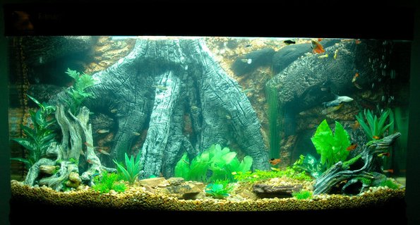 Rated #40: 85 Gallons Freshwater Fish Tank - 85gal bowfront community tank Rated #40: 85 Gallons Freshwater Fish Tank - 85gal bowfront community tank