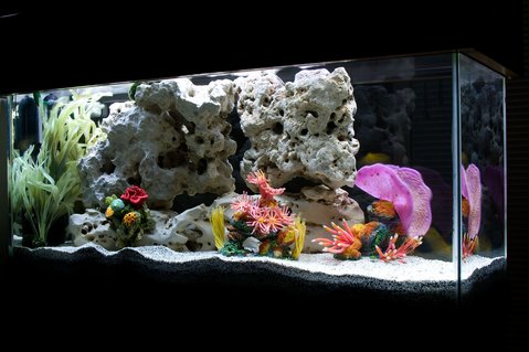 Rated #31: 30 Gallons Freshwater Fish Tank - My Rated #31: 30 Gallons Freshwater Fish Tank - My "saltwater-themed" African Cichlid tank.